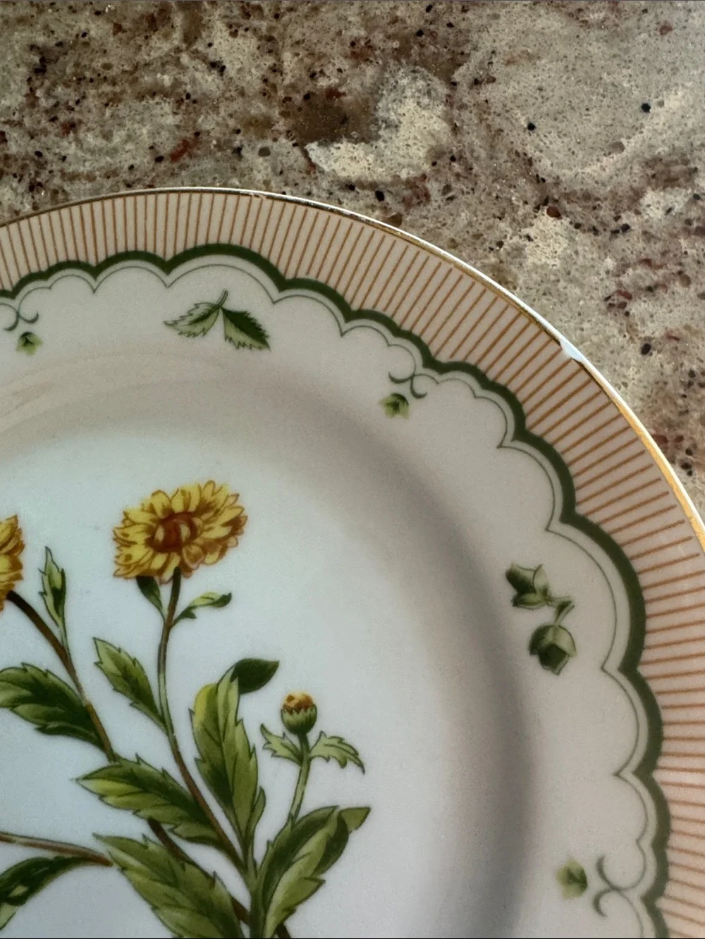 Georges Briard Floral Ceramic Covered Casserole Dish with Plates